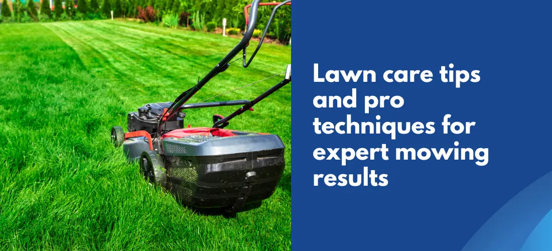 Lawn care tips for expert results